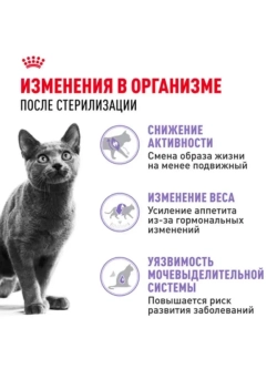 Sterilised 37 Корм для кошек 400г
