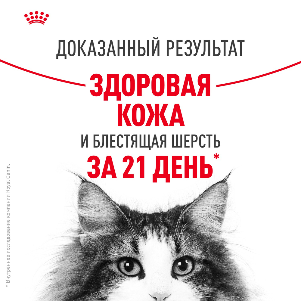 Royal Canin Hair&Skin Care Хэйр Энд Скин Корм влажный для взрослых кошек поддержание здоровья кожи и шерсти соус 85г