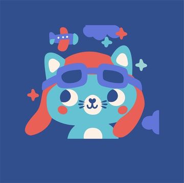 КОТИК ПИЛОТ