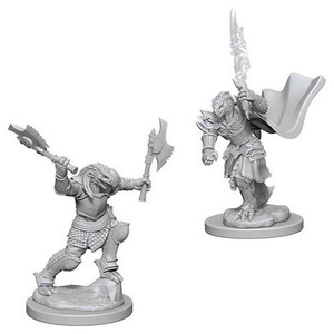D&D Nolzur's Marvelous Miniatures - Female Dragonborn Fighter