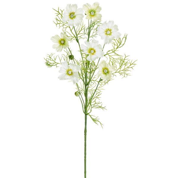 Цветок декоративный Fiebiger Floristik: Космея, 206780-100