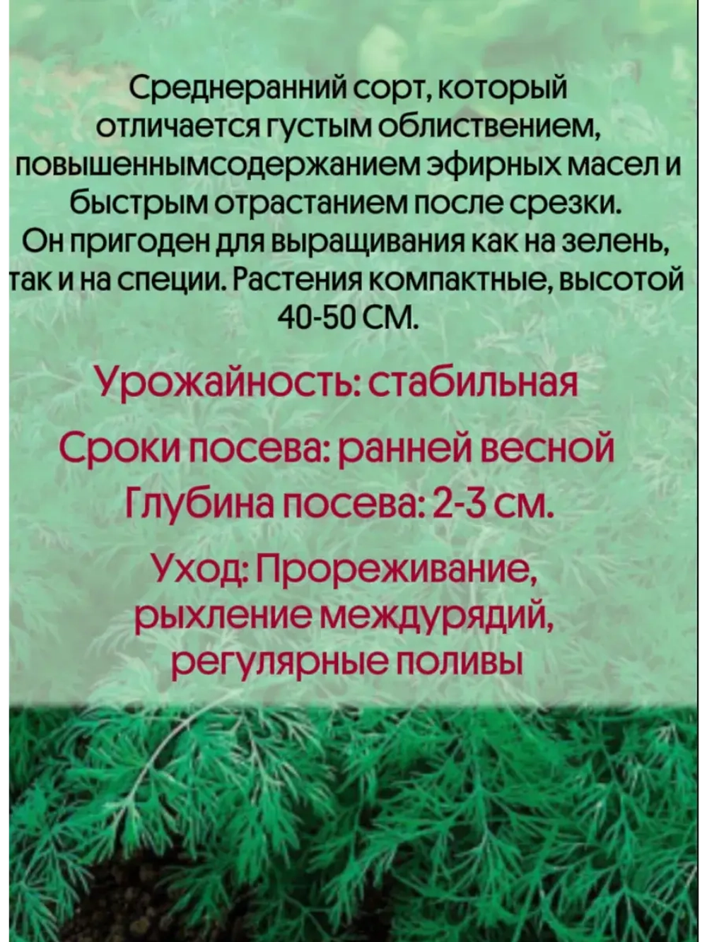 Укроп Скиф 50 гр