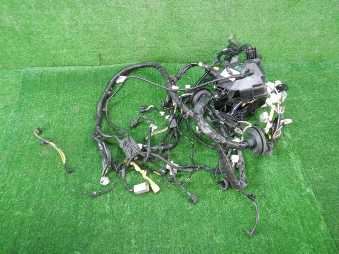 DSCN4437.JPG