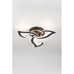 Светильник потолочный светодиодный Rivoli Cassandra 6194-703 LED 3000-6250К 42 Вт с пультом | Интерьерные светодиодные светильники