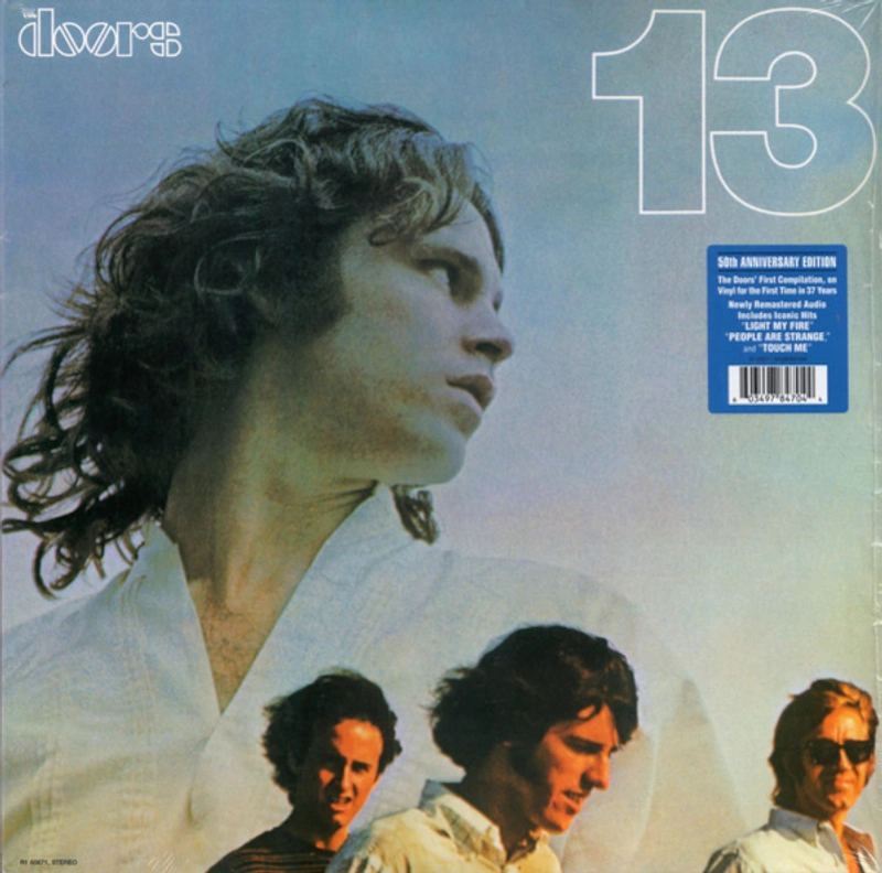 Винил DOORS - 13