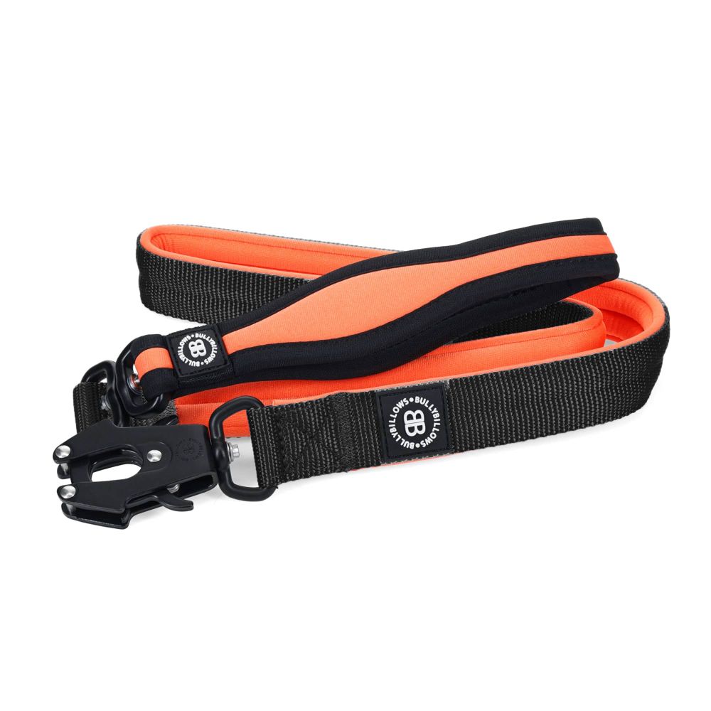 Поводок RR Nylon Combat LIMITED EDITION BullyBillows