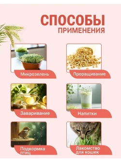 Ячмень для проращивания 1 кг