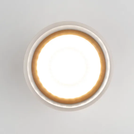 Потолочный светильник уличный Light LED 35140/H черный Elektrostandard