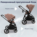 Коляска 2в1 SBL Elegante Therma Beige