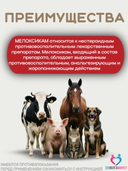 Мелоксикам противовоспалительный растров для кошек и собак