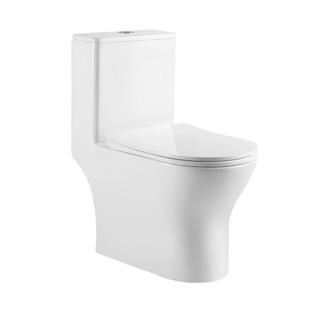 Унитаз-моноблок безободковый с сиденьем микролифт BelBagno LOUNGE BB8618CPR-MN/SC