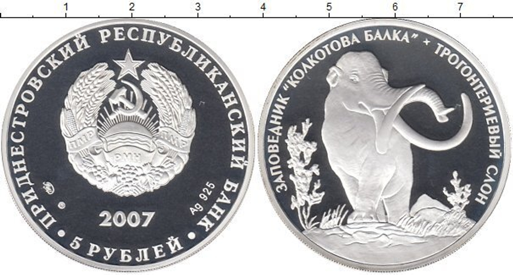 5 рублей 2007 год. Трогонтериевый слон. Заповедник Колкотова балка. Приднестровье. Серебро