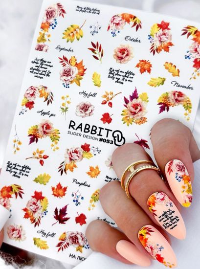 Слайдер для ногтей Crazy Shine Nails Rabbit 053