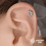 SJ 801 Crystal