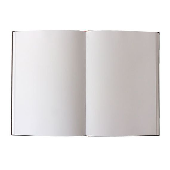 Poetry in Bloom / Poetry in Bloom / Grande / Sketch
