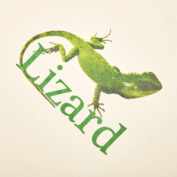Футболка Lizard Coconut Milk - фото 4
