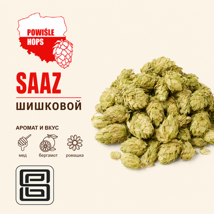 SAAZ (Шишковой)