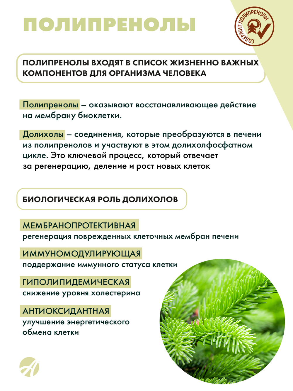 Олеопрен Гепа, 60 капс Гепатопротектор. Защита и восстановление клеток печени