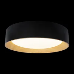 Потолочный светильник Coin 10202 Black Loft It