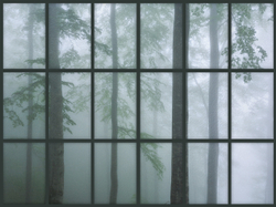 FRAME2019 18
