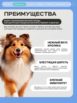 Корм сухой для собак породы Шелти (Шетландская овчарка), с кроликом, 3 кг, QUATTRO