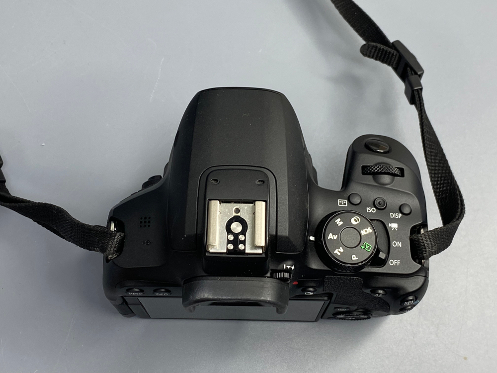 Canon EOS 850D — 13 800 кадров