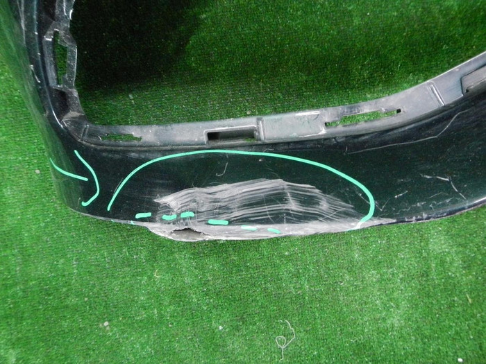 DSCN5595.JPG