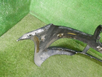 DSCN5527.jpg