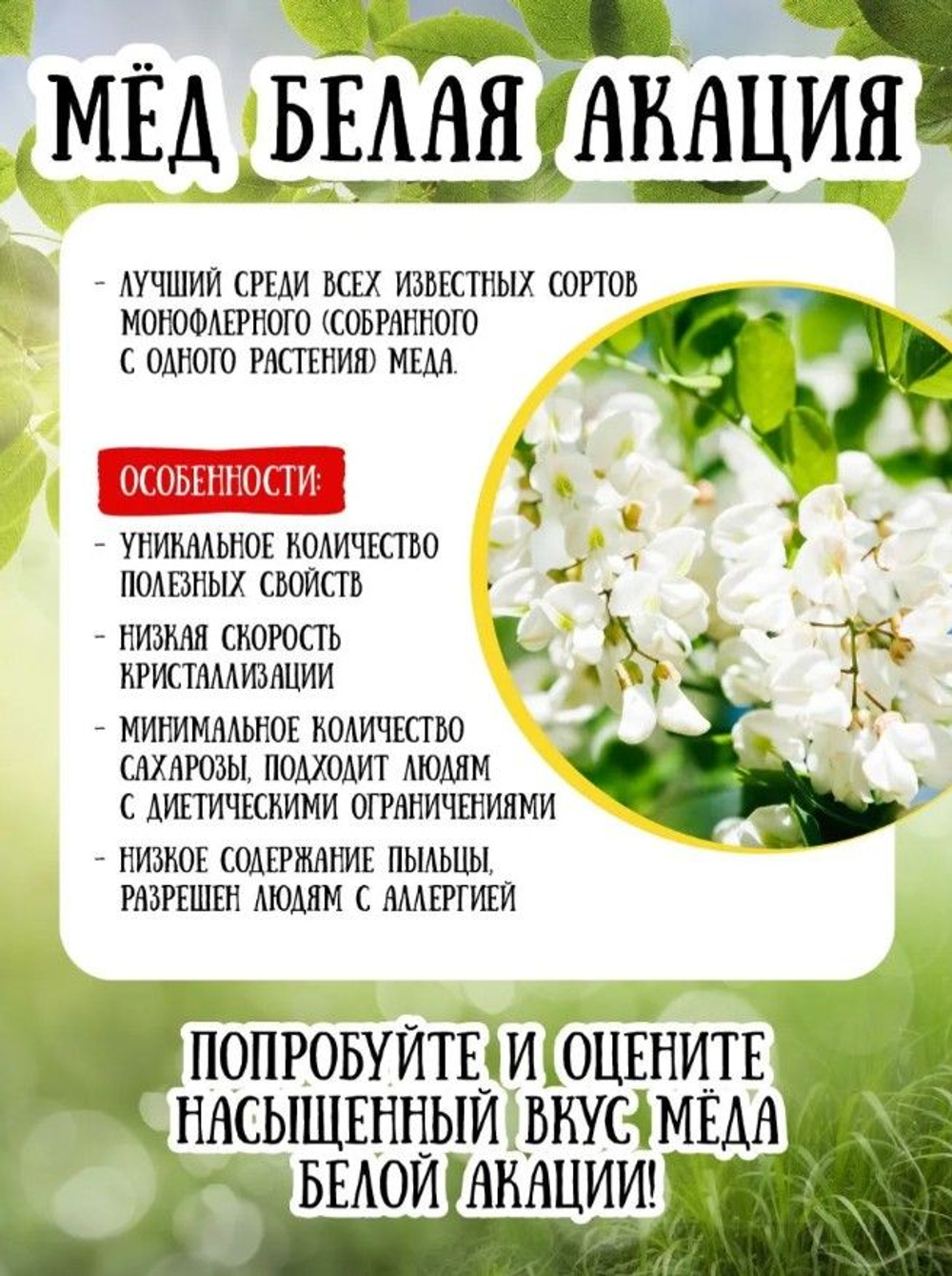 Мёд натуральный белая акация, 500 гр