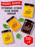 Подарочный набор мёда (гречишный, 300 г; луговой, 300 г; липовый, 300 г; белая акация, 300 г)