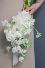 White dreams