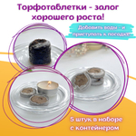 Лаванда белая морозостойкая, семена + торфяные таблетки Jiffy в подарок, 5 шт