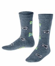 Носки Motocross FALKE 12979/6660