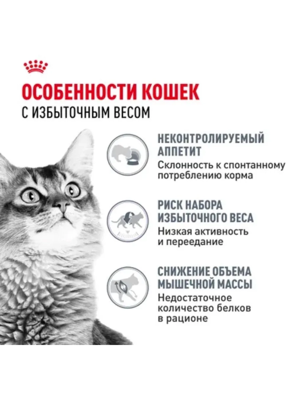 Light Weight Care Корм для кошек 1,5кг