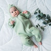 Комбинезон с капюшоном "Шалфей" утепленный 3-18 м