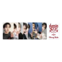 Stray Kids - Stray Kids World Tour [dominATE SEOUL] DVD