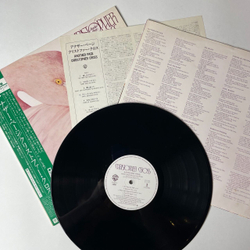 Винтажная виниловая пластинка LP Christopher Cross Another Page (Japan 1983) (Obi) Think Of Laura