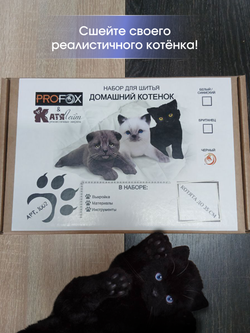 МК с набором для шитья "Реалистичный черный котенок"