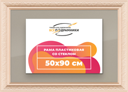 Рамка 50x90 для постера и фотографий