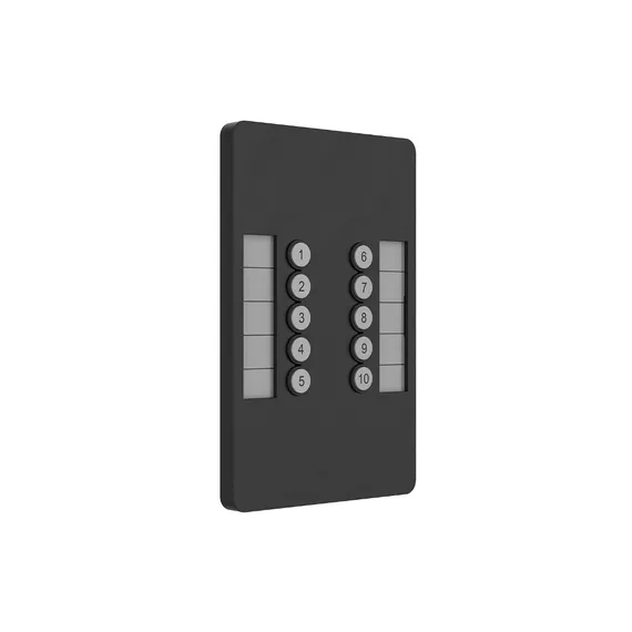 Chamsys SnakeSys 10Scene Wall Plate (Dual Pack)