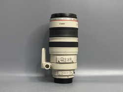 Canon EF 100-400mm 4.5-5.6L IS USM