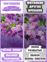 Сиреневые Фотообои "Яркие цветы сирени и зелёные листья"