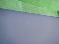 DSCN3933.JPG