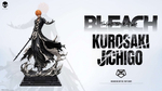 Куросаки Ичиго / Kurosaki Ichigo