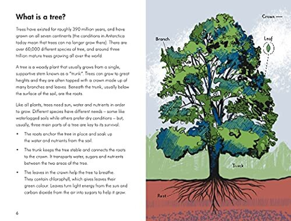 A Ladybird Book: Trees