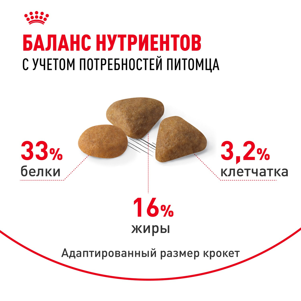 Royal Canin Savour Exigent Сэйвор Экзиджент Корм сухой для взрослых кошек привередливых ко вкусу 200г