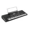 Korg Pa300