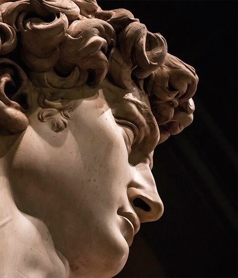 Cuir de Medicis, рефилл для аромадиффузора с палочками, Ladenac Milano