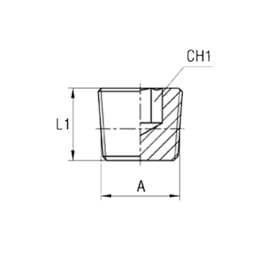 Заглушка (Ш) BSPT 1.1/2